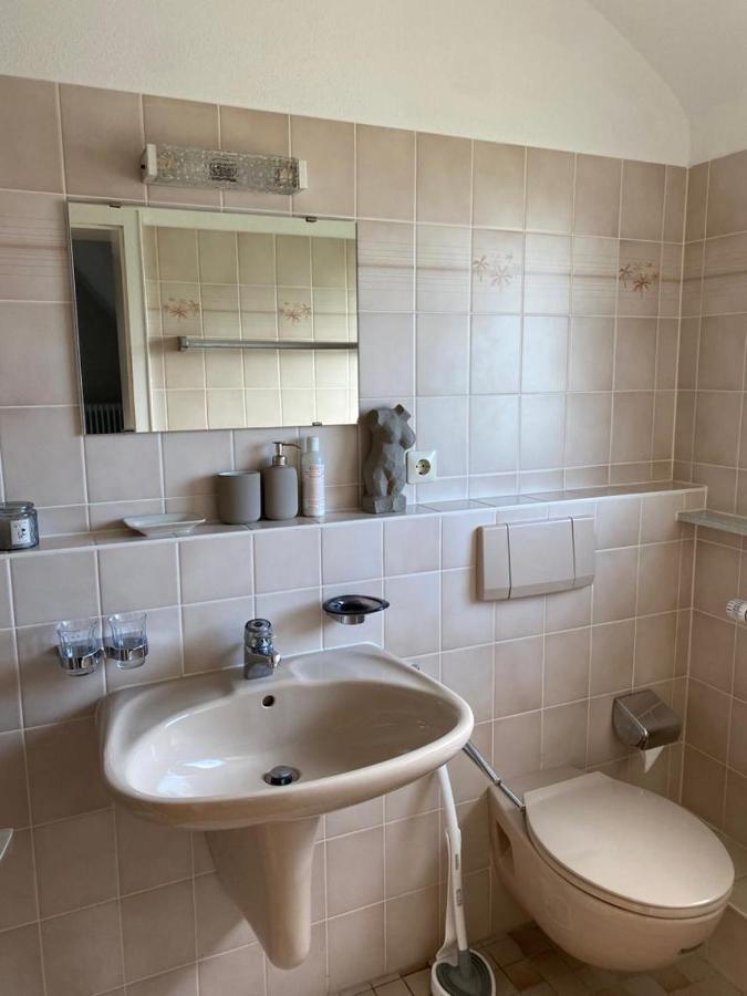 Ferienwohnung Vogesenblick ミュールハイム エクステリア 写真